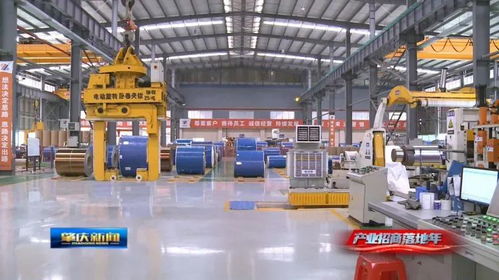 肇庆高新区 抓企业服务 抓产业落地 全力稳增长提效益